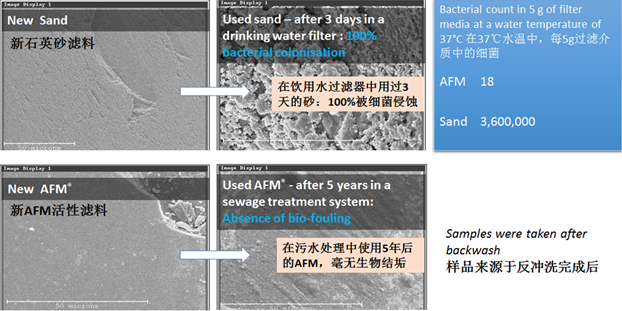 AFM活性濾料與石英砂濾料對比